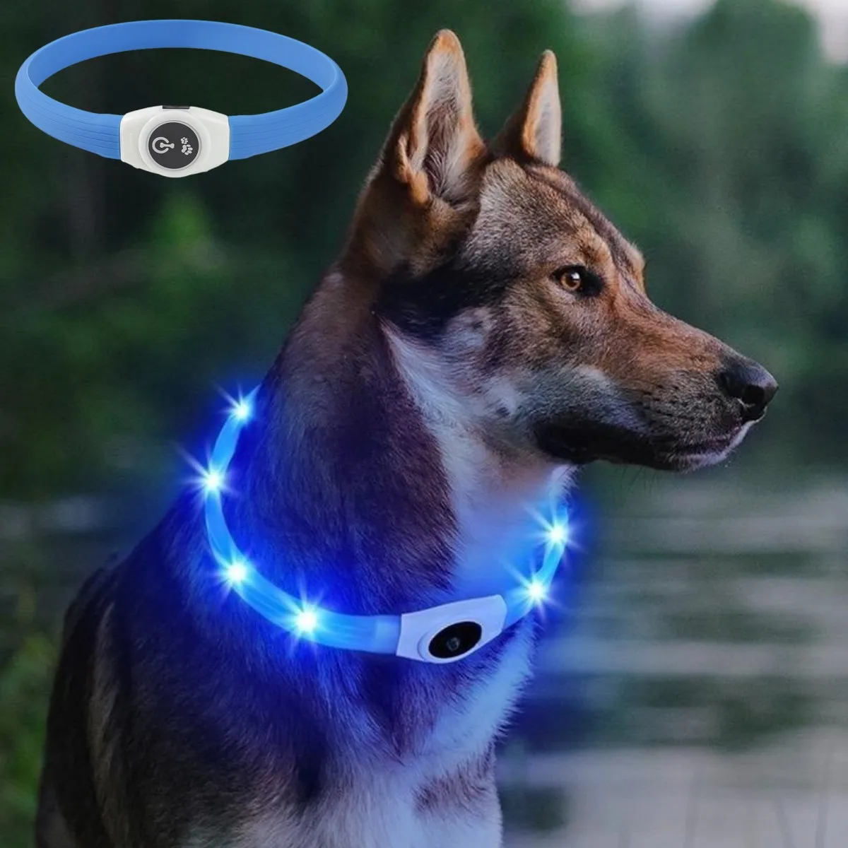 Tech Dog Accessories - New Led Luminous Dog Collar PVC