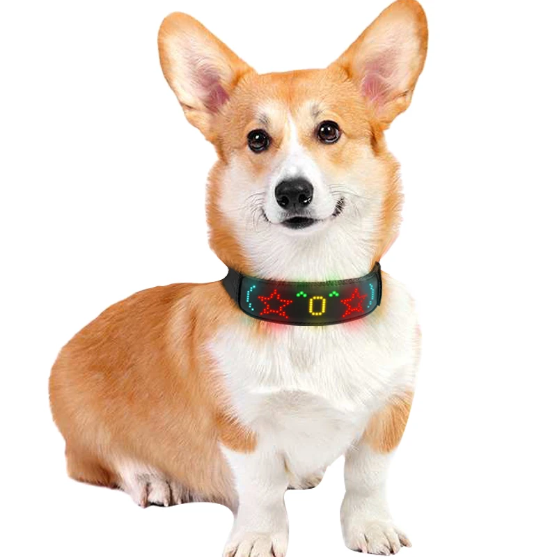 Multicolor Pet LED Dog Collars - Tech Dog Accessories ulasan dan harga
