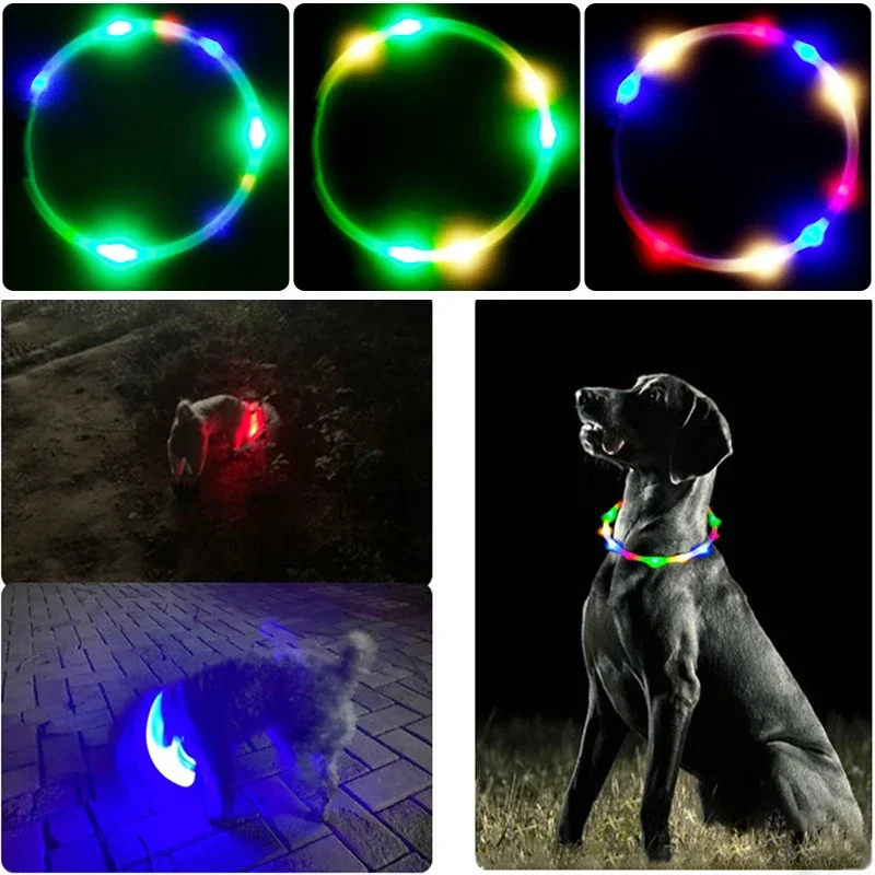 3 Modes Dog Luminou Charge Col - Tech Dog Accessories ulasan dan harga