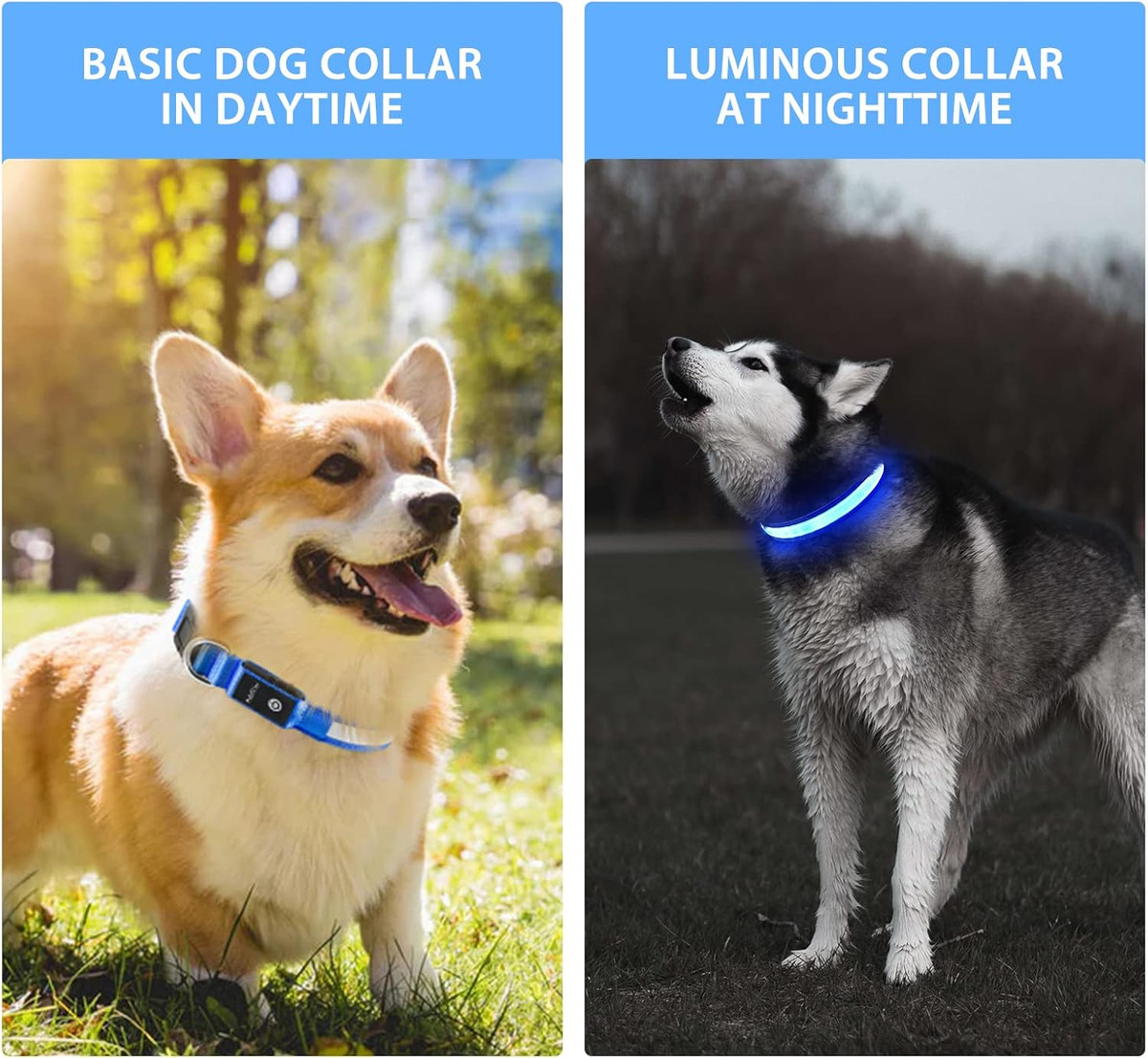 USB LED Dog Collar Lights - Ad - Tech Dog Accessories ulasan dan harga