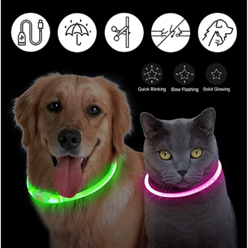 USB Rechargeable Luminous Coll - Tech Dog Accessories ulasan dan harga