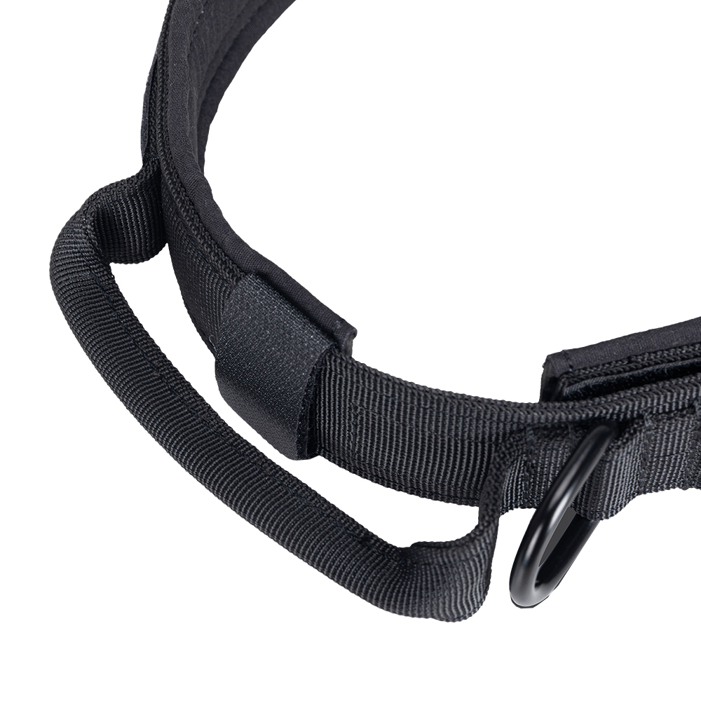 EXCELLENT ELITE SPANKER Dog Ta - Tech Dog Accessories ulasan dan harga