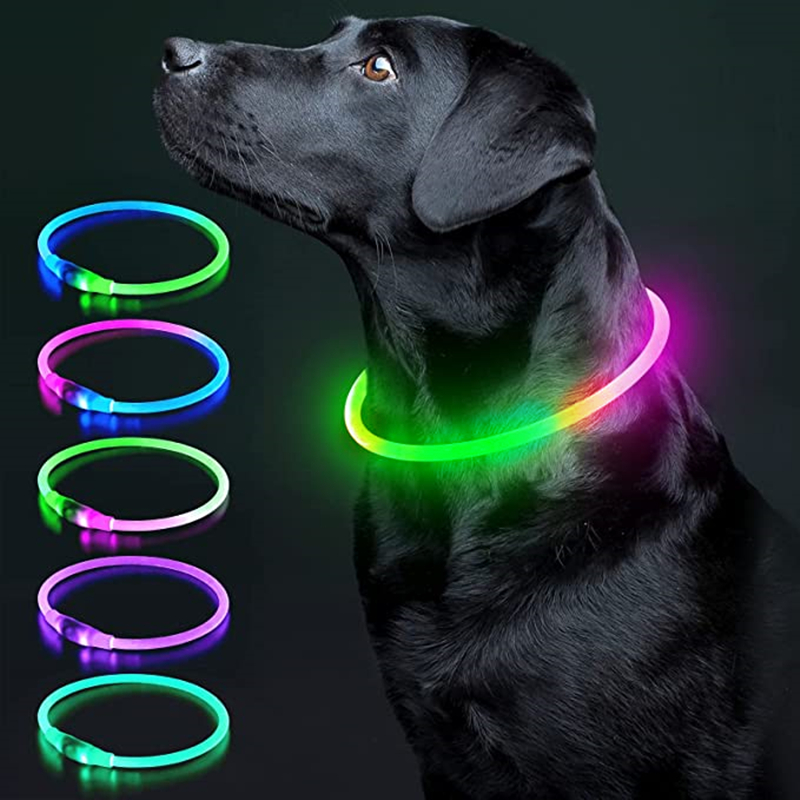 Luminous Dog Collar Light Char - Tech Dog Accessories ulasan dan harga