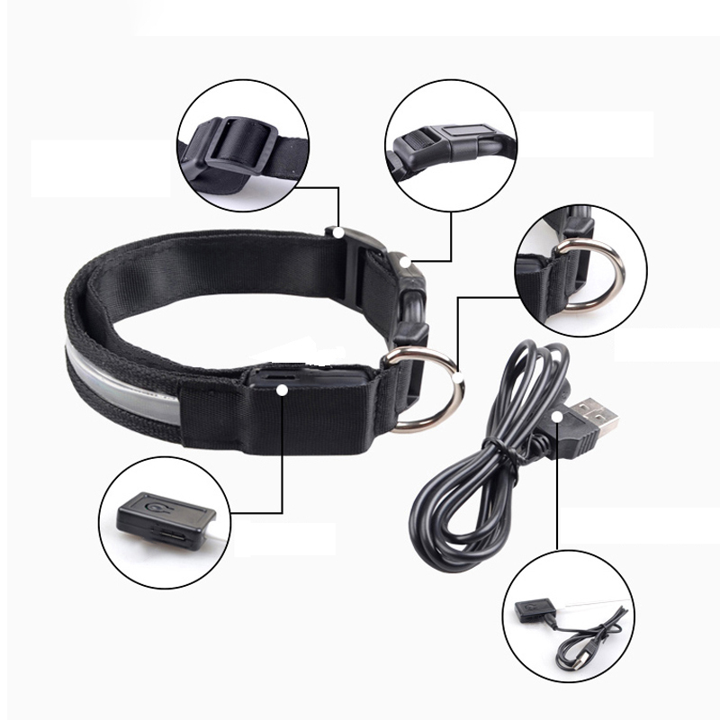 Engraved ID LED Dog Collar Lum - Tech Dog Accessories ulasan dan harga